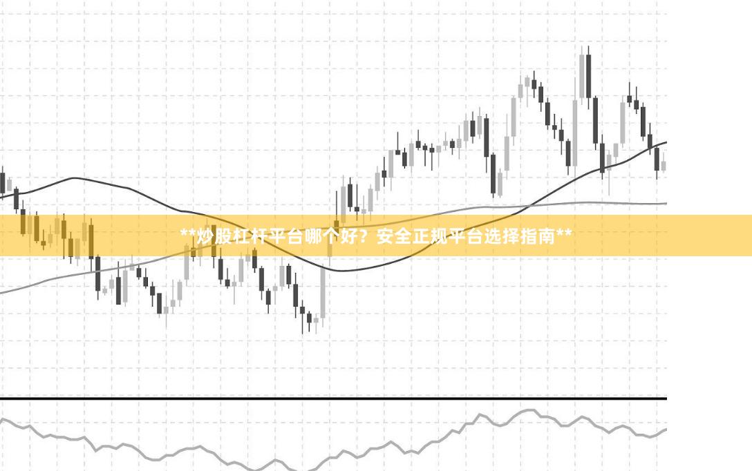 **炒股杠杆平台哪个好？安全正规平台选择指南**